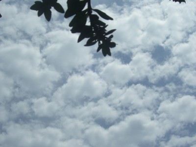 Kleine Prinzessin 001m.jpg