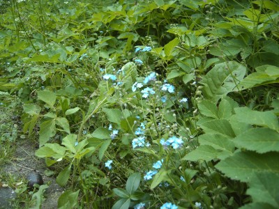 IMAG0879.JPG
