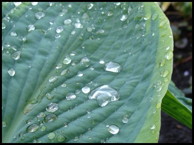 Waterdrops5.jpg