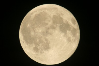 IMG_0824.JPG