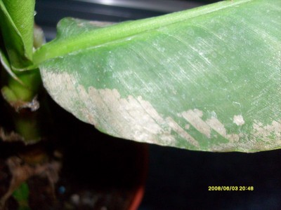 S7301818.JPG