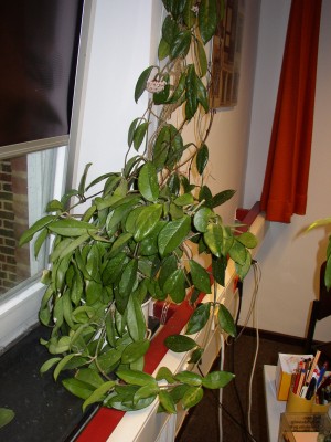 P1010436.JPG