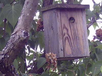PICT0657.JPG