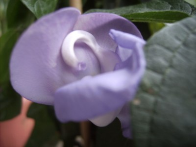 PICT0817.JPG
