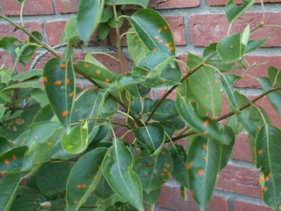 PICT0002.JPG