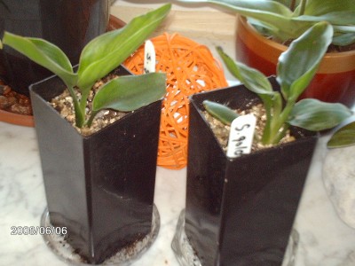Bild 164.jpg
