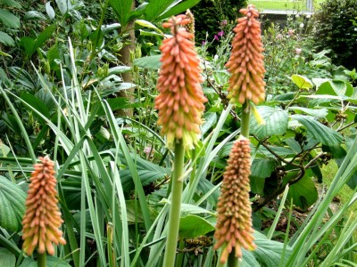 05.06.08 043.jpg