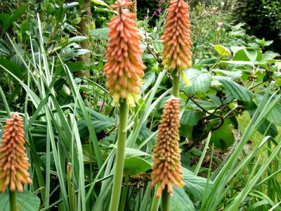 05.06.08 042.jpg