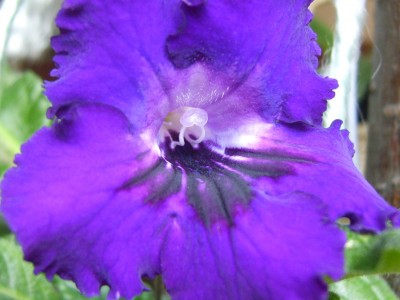 DSCI0013 - Kopie.JPG