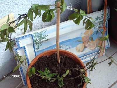 Bild 167.jpg