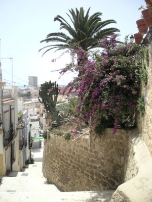 DSCN3347.jpg