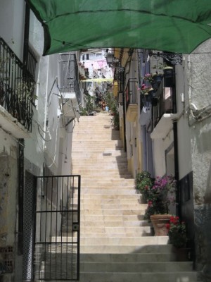 DSCN3381.jpg