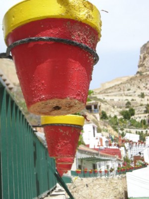 DSCN3372.jpg