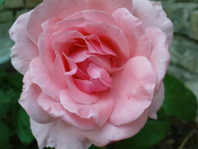 DSC00077.JPG