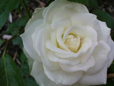 DSC00078.JPG