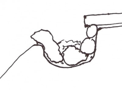 Teichrand.jpg