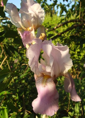 DSCF3986.JPG