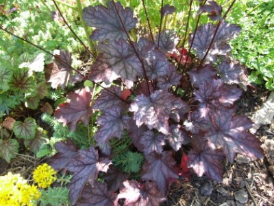DSCF1741.JPG