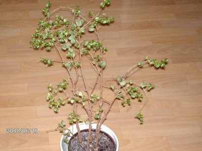 Bild 189.jpg