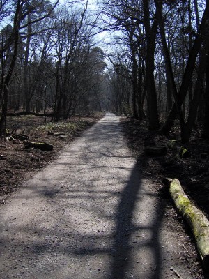 Waldspaziergang_I_11.03.07_600x800.JPG