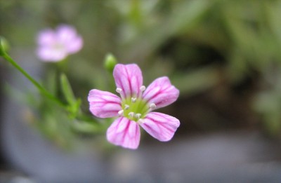 2008-06-03 007.jpg