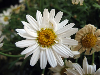 2008-06-03 001.jpg