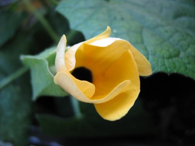 2008-06-03 010.jpg
