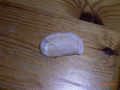 kern 002.jpg