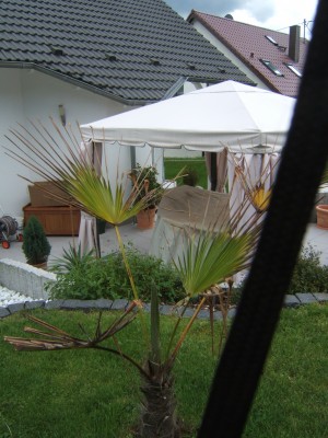 Haus 001.jpg