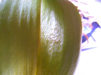 BILD0115.JPG