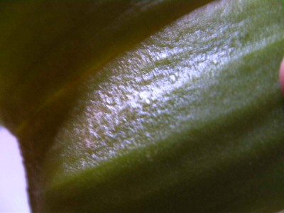 BILD0117.JPG