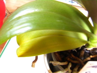 BILD0114.JPG