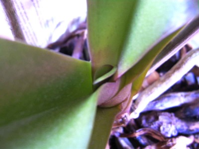 BILD0124.JPG