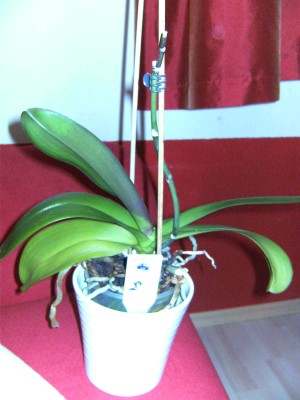 BILD0123.JPG