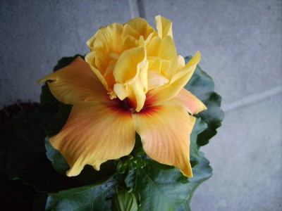PICT0898.JPG