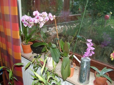 DSCF4323.jpg