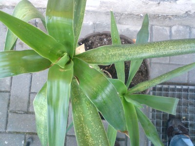 DSC00002.JPG