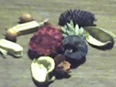 ABCD0006.JPG