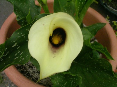 bilder für den blog 010.JPG