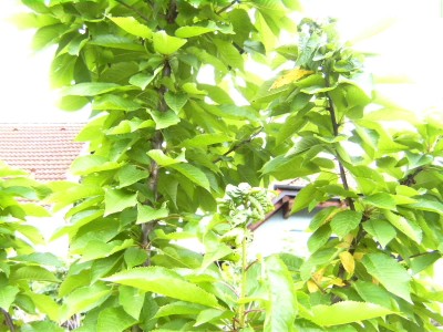 BILD0132.JPG