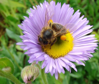 14.06.2008 dicke hose.jpg