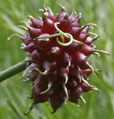 garten8.jpg