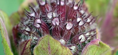 garten7.jpg