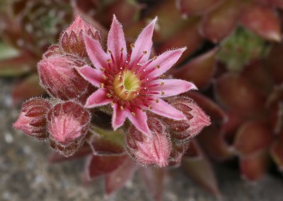 garten4.jpg