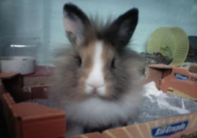 Bild 334.jpg