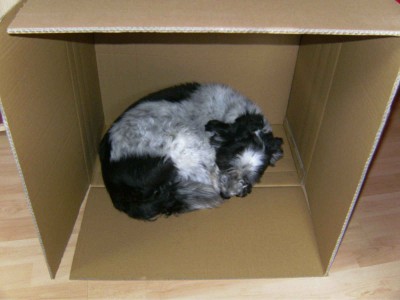 BILD0019.JPG