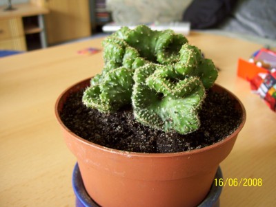 100_0573.JPG