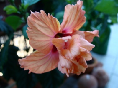 eigenebilder 011.jpg