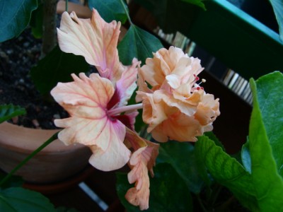 eigenebilder 015.jpg