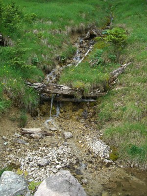 erz07.jpg